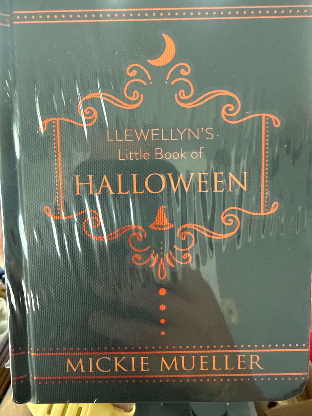 Llewelyn’s Little Book of Halloween