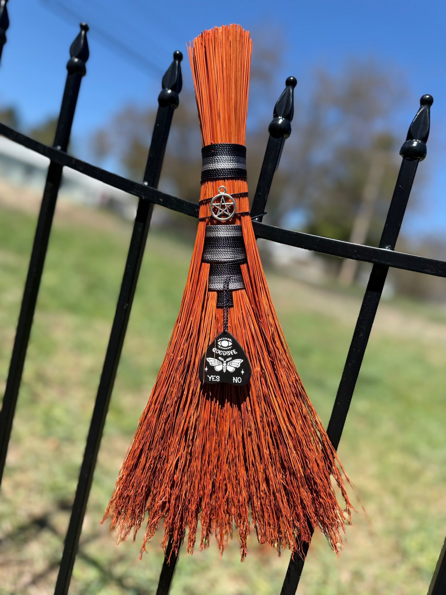 Orange/black Hawktail