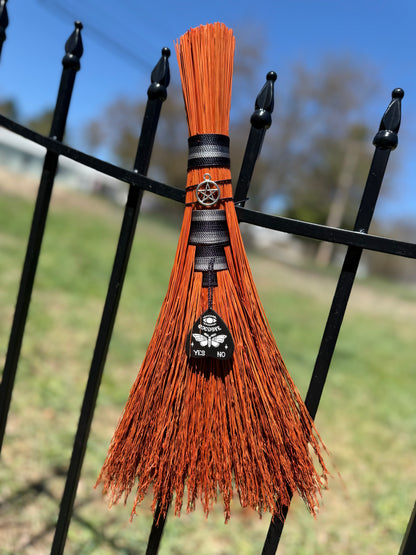 Orange/black Hawktail