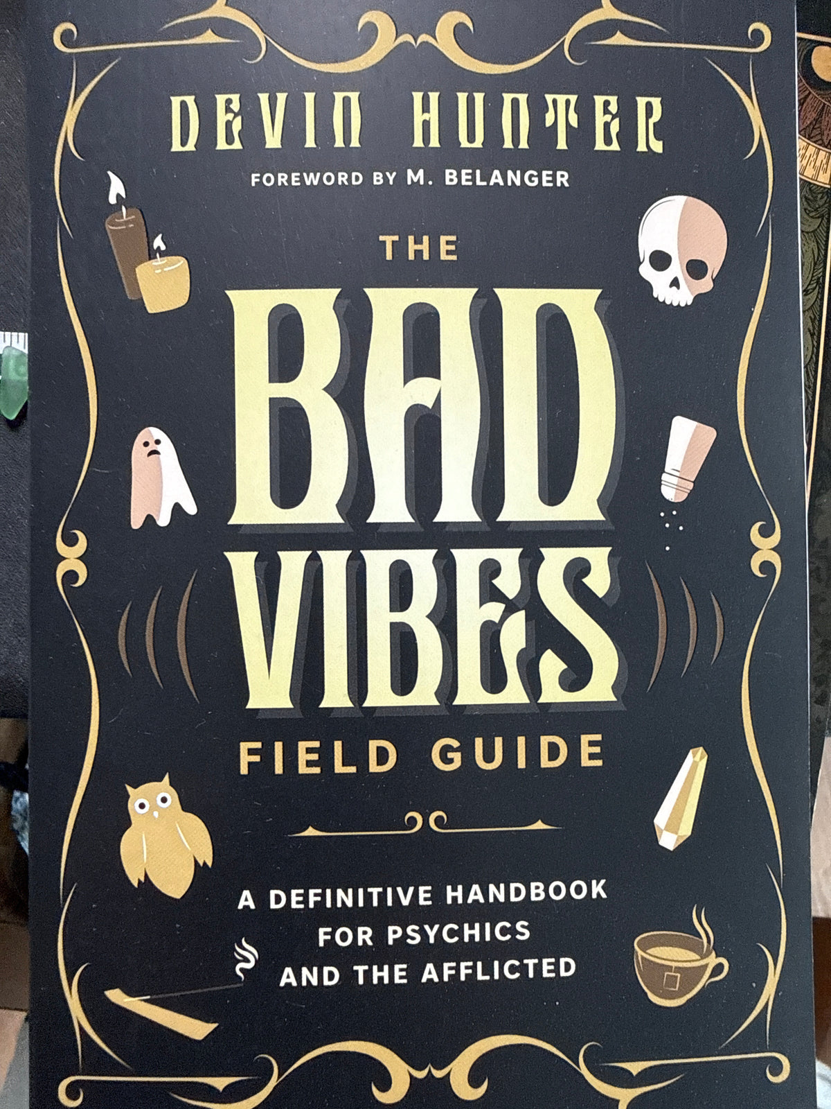 The Bad Vibes Field Guide by Devin Hunter